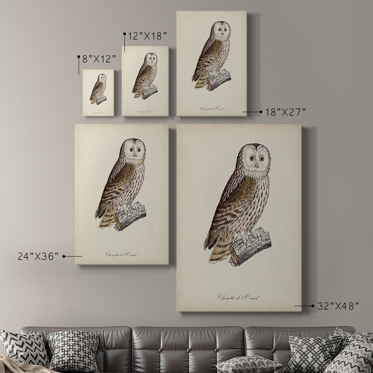 French Owls V Premium Gallery Wrapped Canvas - Ready to Hang