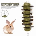 thumbnail image 3 of Qweryboo 2 Pcs Rabbit Chew Toys, Bunny Hanging Chew Toys for Teeth, Apple Sticks with Timothy Hay Balls Grass Pets Chew Treats for Hamsters, Rabbits, Chinchilla, Guinea Pigs, 3 of 7
