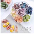 thumbnail image 3 of Nail Dried Flowers,50Pcs 3D Dry Flowers Nail Stickers Nail Supplies Colorful Natural Dried Flowers Nail Decals, 3 of 4