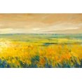 thumbnail image 2 of OToole, Tim 32x23 Black Ornate Wood Framed with Double Matting Museum Art Print Titled - Hot Summer Day I, 2 of 4