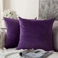 thumbnail image 1 of Juego de 2 Fundas de Cojines Decorativas de Terciopelo Almohada para Sofá Súper Suave Decoración Cómoda Hogar Sala de Estar Dormitorio para Sofá 40X40CM Berenjena, 1 of 4