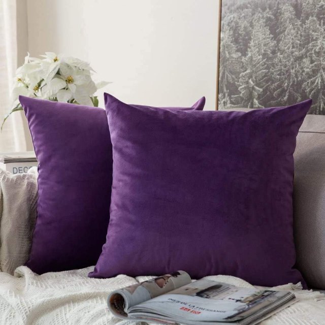 Juego de 2 Fundas de Cojines Decorativas de Terciopelo Almohada para Sofá Súper Suave Decoración Cómoda Hogar Sala de Estar Dormitorio para Sofá 40X40CM Berenjena