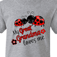 thumbnail image 4 of Inktastic My Great Grandma Loves Me with Cute Ladybugs Youth T-Shirt, 4 of 5