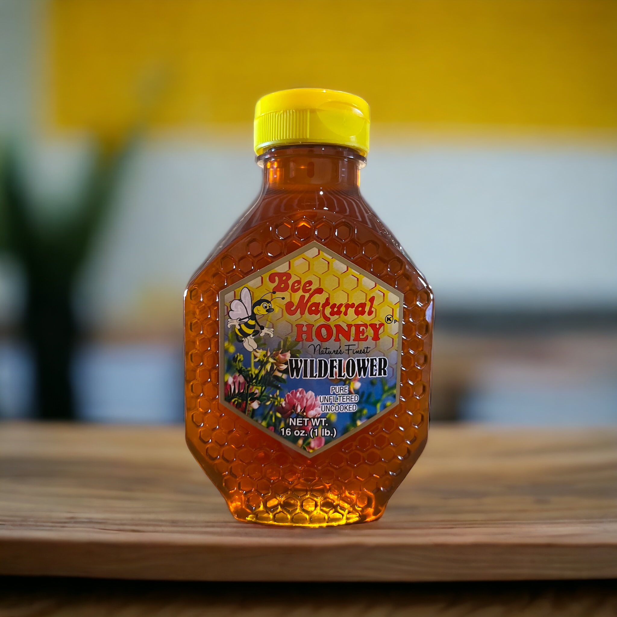 6 South Florida Wildflower Honey - 16 Ounces (6 Pack)