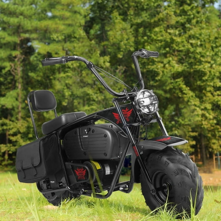 Oryxearth 36V 1000W Electric Dirt Bike for Kids and Adults, 22 MPH