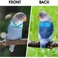 thumbnail image 4 of ShenMo Parrot Carrier (Light Blue M), Adjustable Flight Training Rope for Parrots Parrot Carrier, Nylon Bird Training Rope Set, 4 of 5