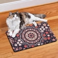 thumbnail image 2 of Vintage Abstract Pet Food Pad - Artistic Paisley Art, Non-Slip Absorbent Bowl Mat, 2 of 5