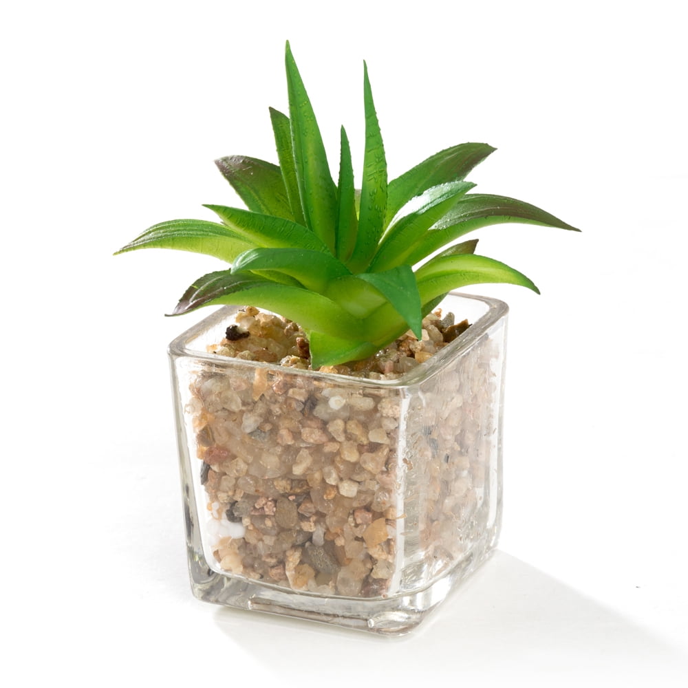 K-Cliffs Mini Succulent  Potted in Modern Cube Shape Clear Glass Pots 3pcs Set.Overall- 8.3L x 3.9W x 4.3H inches; each Pot (not including Plants)- 2L x 2W x 2H inch
