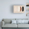 thumbnail image 4 of Trademark Fine Art uplusmestudio Trying to fit in Canvas Wall Art, 4 of 4