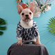 thumbnail image 4 of Apuakthei Suéteres para mascotas para clima frío, ropa para mascotas, suéter para perro gato, accesorios para perros, ropa para perros, sudadera para mascotas, 4 of 5