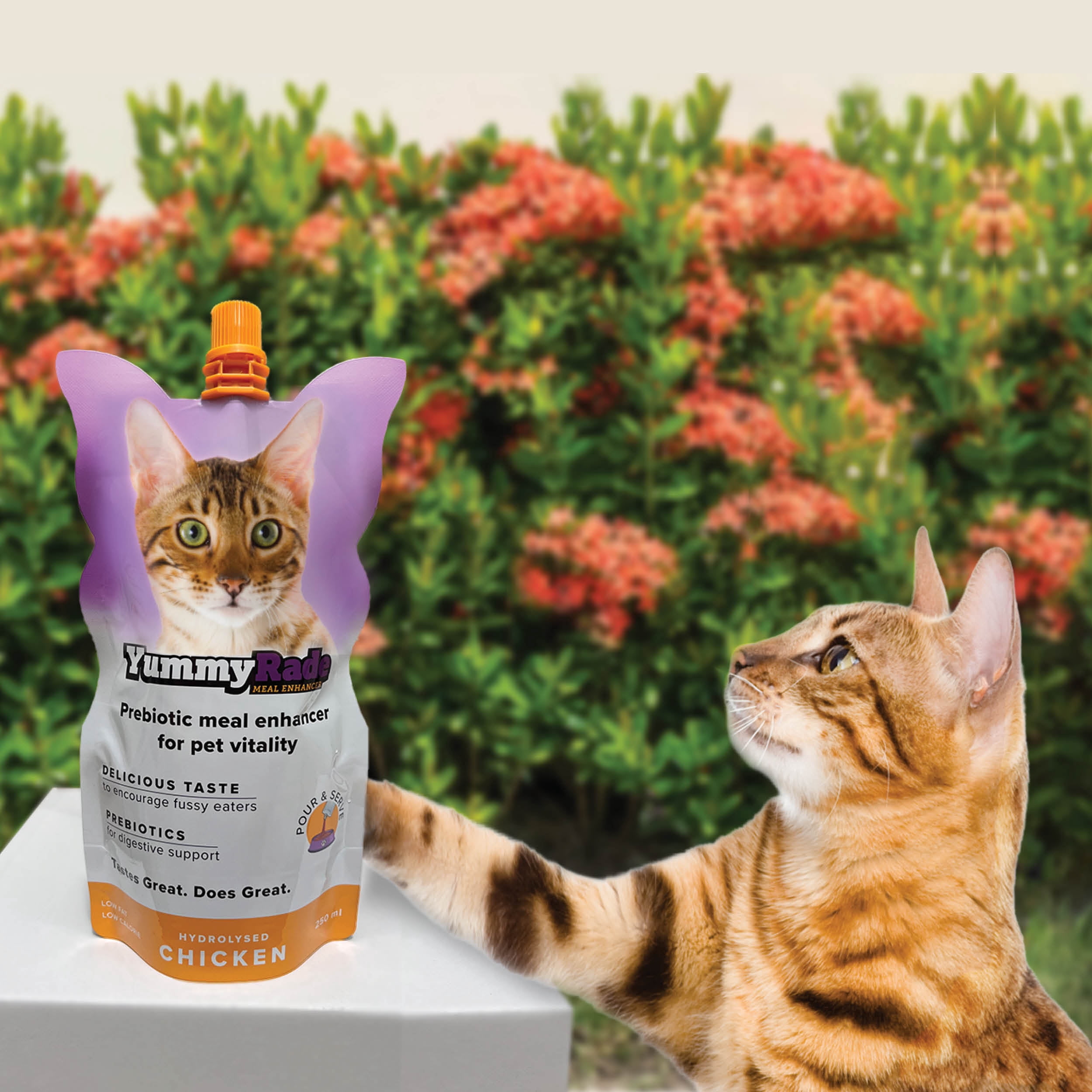 YummyRade Prebiotic Gravy Topper for Cats/Gut & Immune Support/ 3 pack