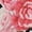 84, variant on Zigzag Knitted Pattern Short Sleeve Men'S Rompers, Zigzag Zigzag Casual Summer Jumpsuits Outfit
