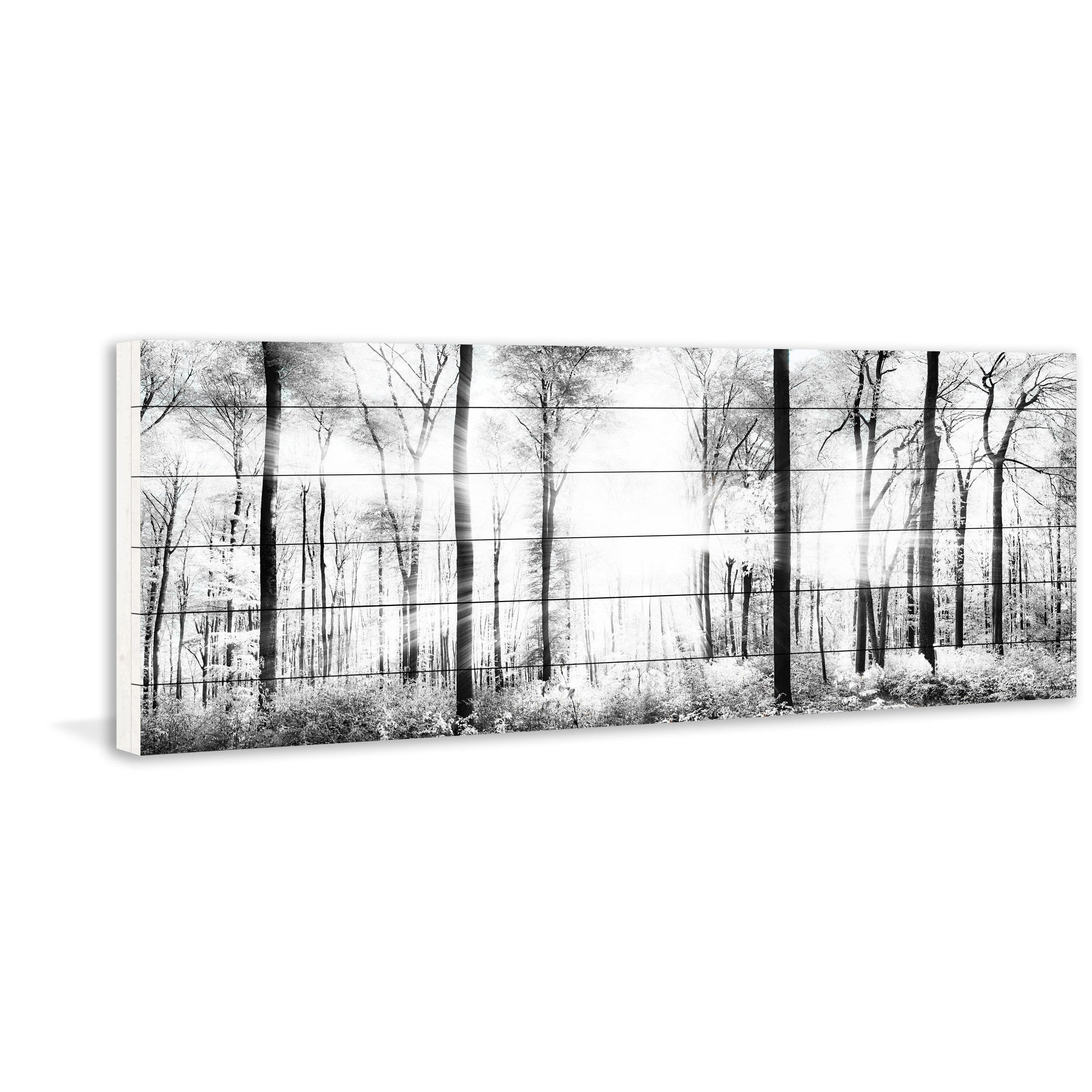 Parvez Taj White Light Forest White Wood Wall Art, 10" x 30"