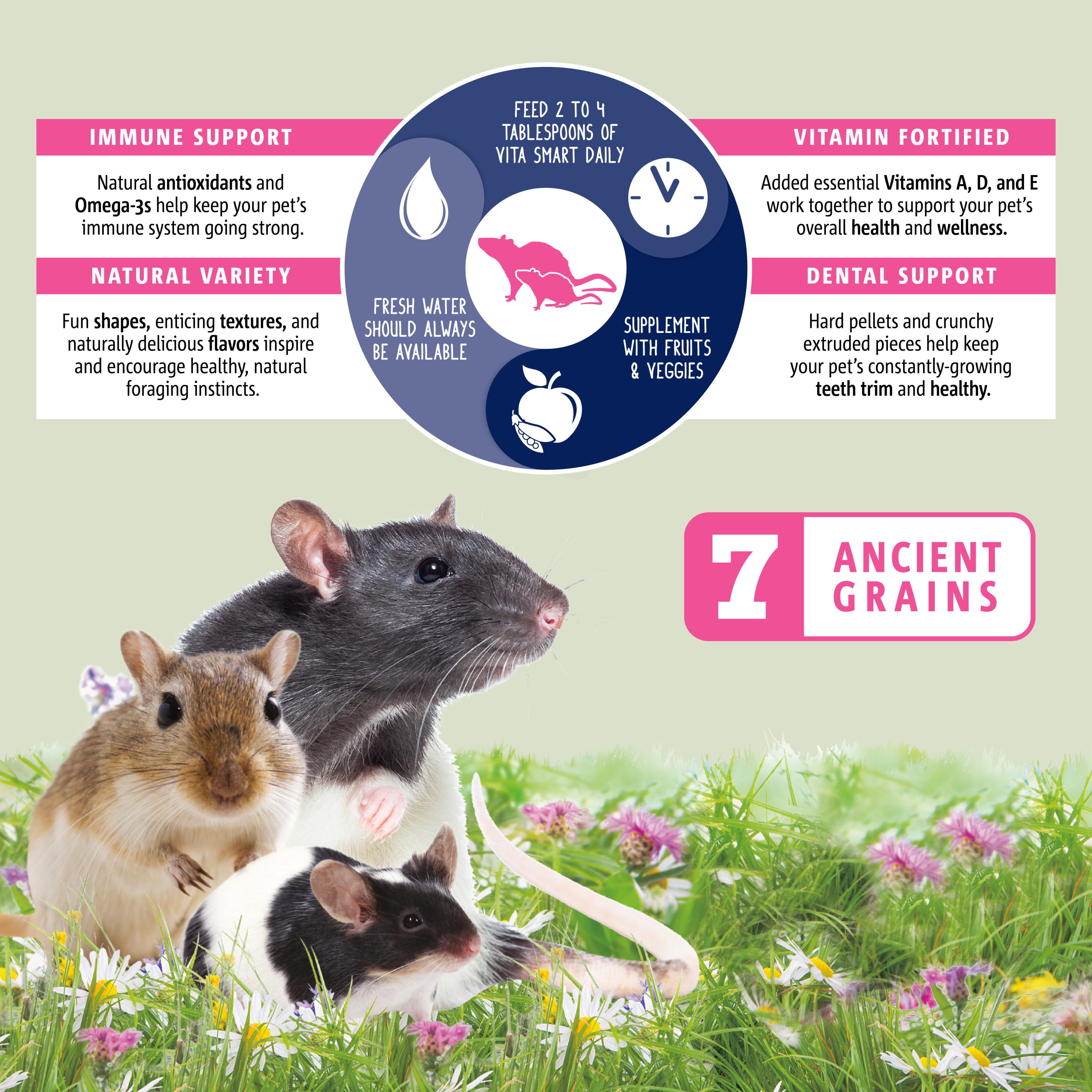 Vitakraft Vita Smart Rat and Mouse Food - Complete Nutrition - Premium Fortified Blend with Ancient Grains for Rats, Mice, and Gerbils