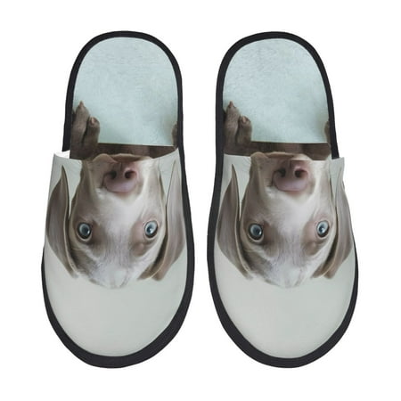

Rateoe Adorable Puppy Portrait Pattern Fuzzy Slippers Fuzzy Soft House Slippers Plush Furry Warm Cozy Open Toe Fluffy Home Shoes-Large