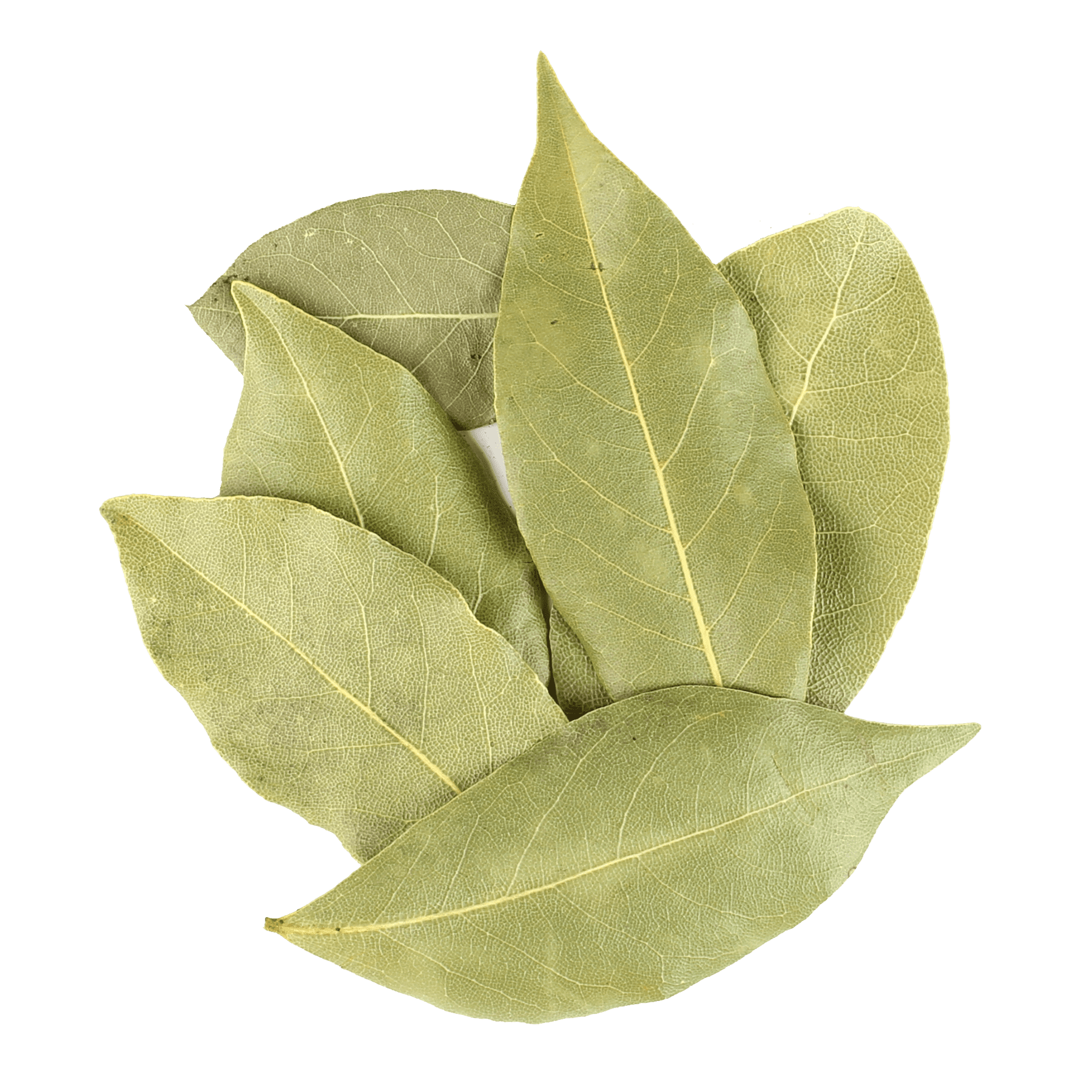 Frontier Co-Op Hand-Select Bay Leaf, Whole, Certified Organic, Bulk 16 oz