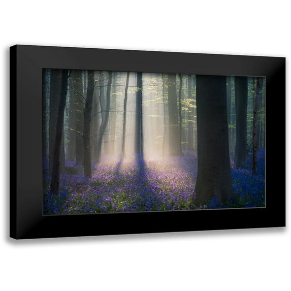 Popan, Adrian 14x11 Black Modern Framed Museum Art Print Titled - Velvet Light