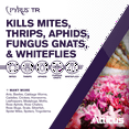 thumbnail image 3 of Pyrus TR Greenhouse Fogger (2oz) by Atticus (Compare to Pyrethrum) - Total Release Pyrethrin Insecticide/Miticide - Controls Mites, Thrips, Aphids, Whiteflies, and Fungus Gnats (Packaging May Vary), 3 of 7
