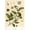 Unframed, variant on Art.com Botanical Image of Tea Plant Stretched Canvas Print Wall Art, 16" x 24"