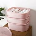 thumbnail image 2 of EGNMCR Closet Organizers and Storage, Storage Trunks & Bag Home Plastic Underwear Storage Box With Lid Underwear Socks Storage Storage mesh, 2 of 2