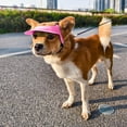 thumbnail image 2 of HeeHom Dog Sun Hat for Small Dogs 16.5-27.5lbs - Adjustable Summer Cap with Ear Holes, Beach & Walking Visor for French Bulldog/Corgi/Puppy UV Protection, 2 of 7