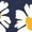NAVY, variant on - Retro Daisies - Women's Short Sleeve Graphic T-Shirt