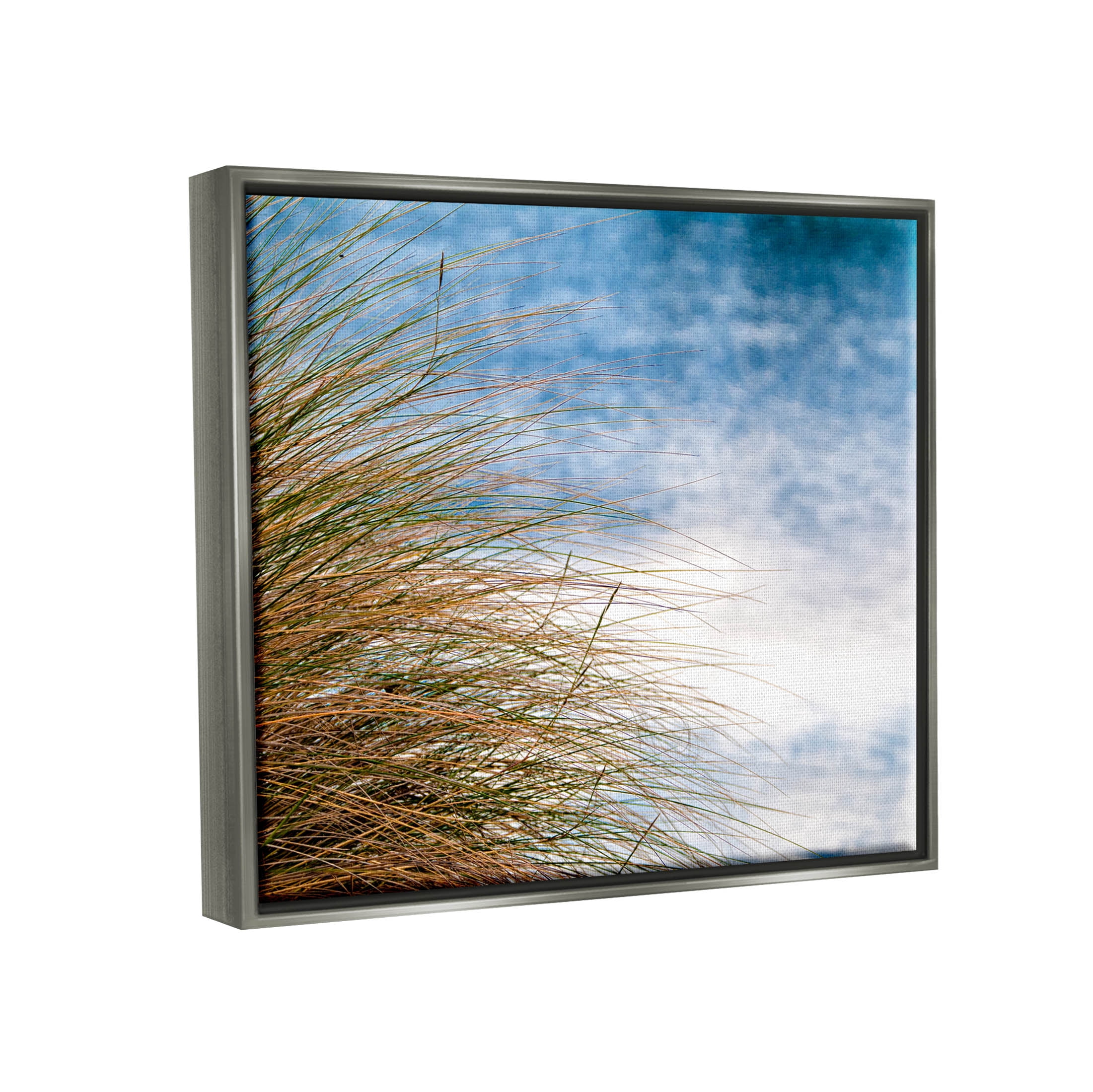 Stupell Industries Summer Beach Reed Grass Photography Photograph Luster Gray Floating Framed Canvas Print Wall Art, Design by Mary Lou Photography
