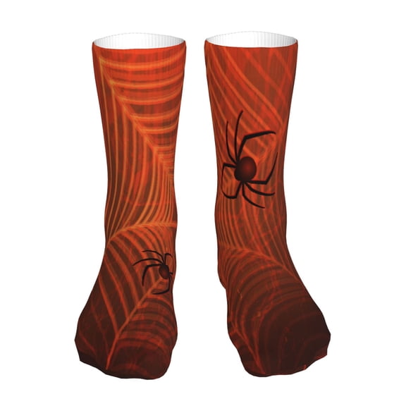 Kdxio Spider Web 标题