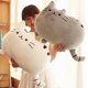 thumbnail image 2 of Almohada de gato kawaii de 40*30 cm con cremallera, solo piel, sin galletas de algodón PP, muñeco de peluche, funda de cojín grande, regalo de peluche, 2 of 4