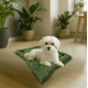 thumbnail image 3 of Cama Para Perro Q Perrón Raza Chica Cómoda Color Verde, 3 of 7