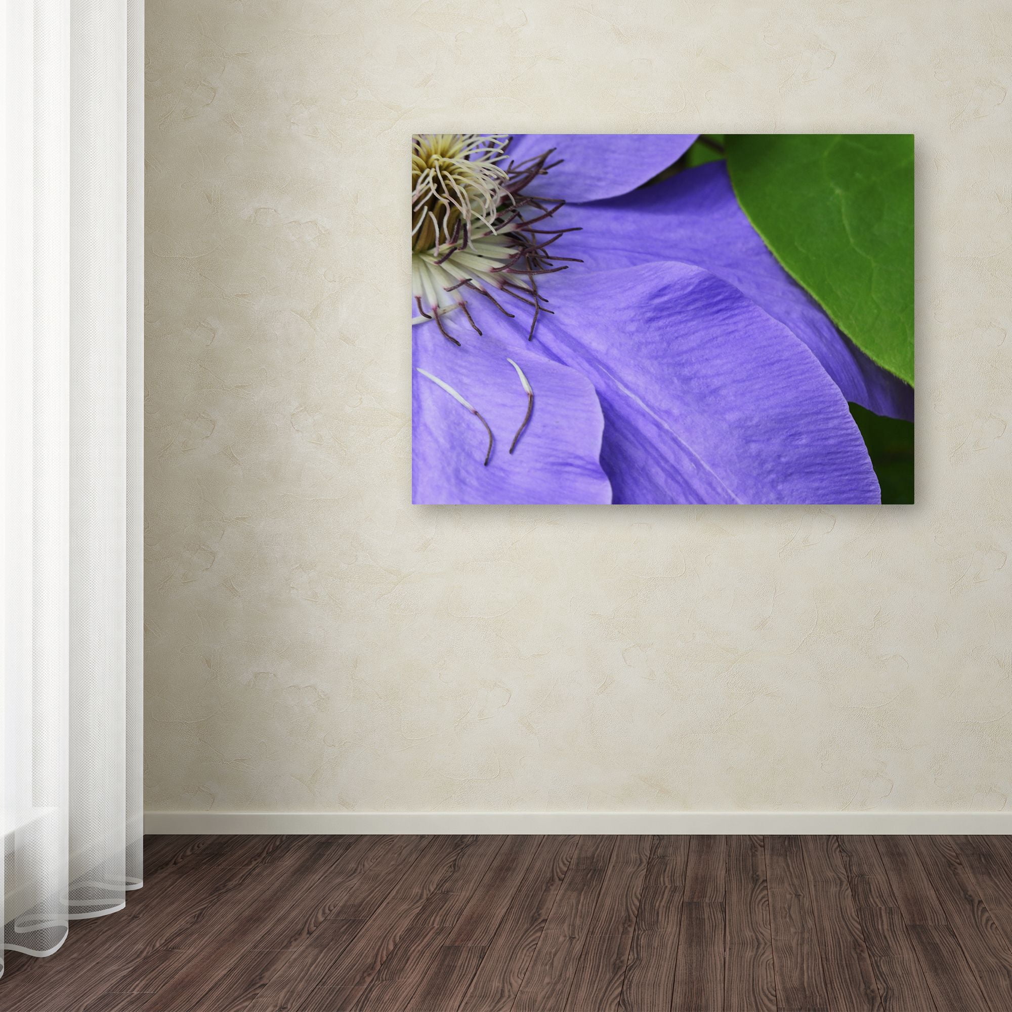 Trademark Fine Art "Clematis Abstract" Canvas Art by Kurt Shaffer