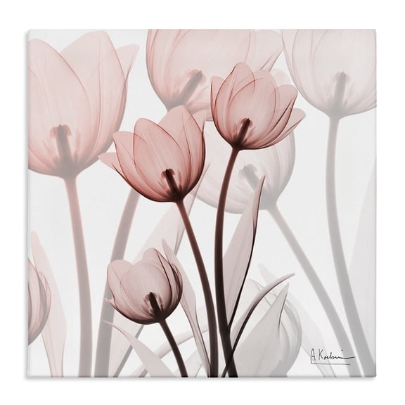 Stupell Industries Modern Red Floral Silhouettes Modern Photograph Canvas Art, 17 x 17, by Albert Koetsier
