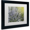 thumbnail image 2 of Trademark Fine Art "Spring Morning" Canvas Art by Beata Czyzowska Young, White Matte, Black Frame, 2 of 4