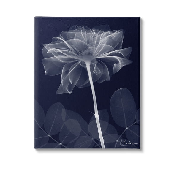 Stupell Industries Dark Flower Shape Botanical & Floral Photography Gallery Wrapped Canvas Art Print Wall Art, 24 x 30