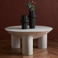 thumbnail image 2 of SAFAVIEH Couture Calhoun Contemporary Round Mango Wood Coffee Table, White Wash, 2 of 11