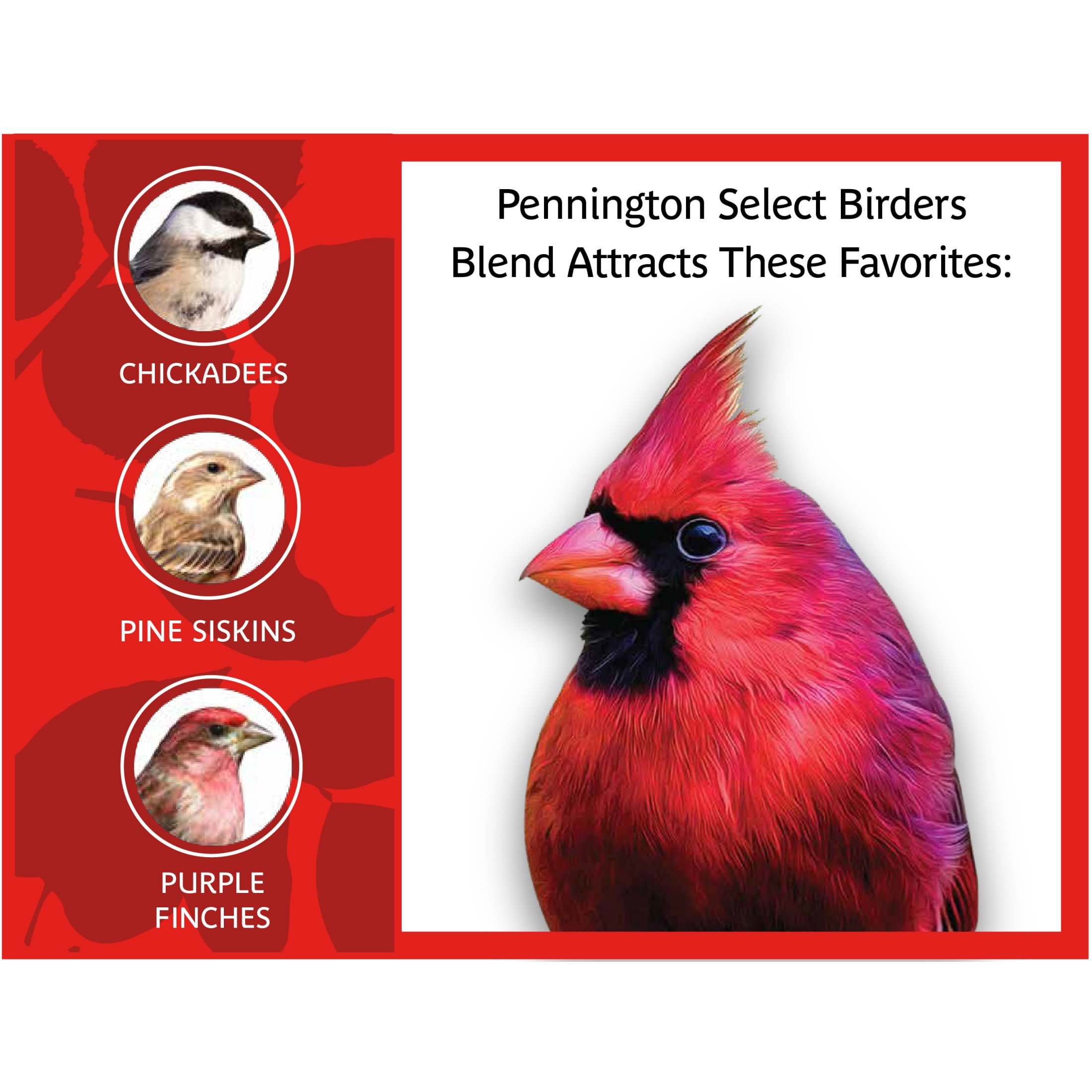 Pennington Recipe SelectsBirder's Blend, Wild Bird Seed and Feed, 40 lb. Bag, 1 Pack, Dry