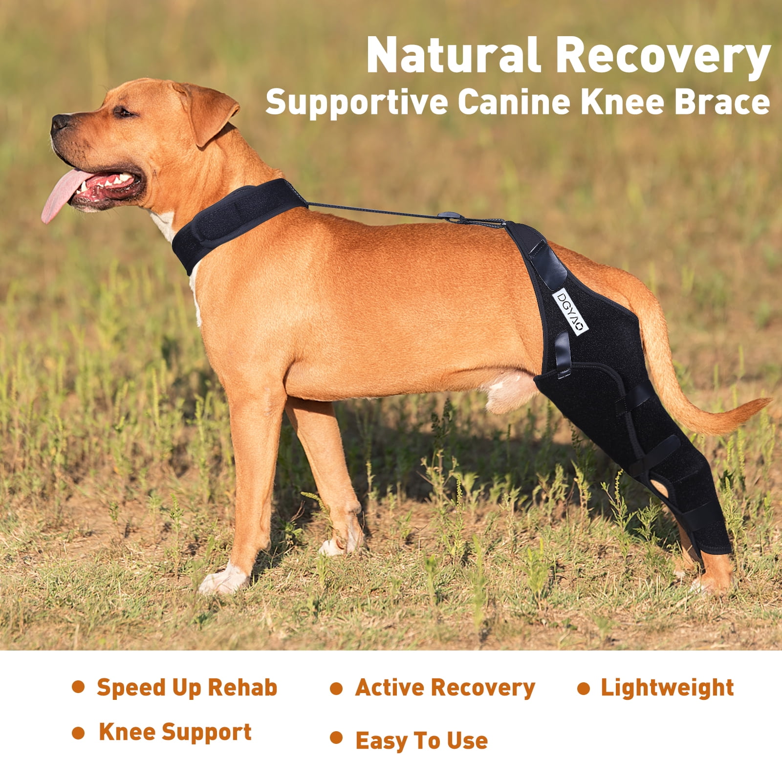 DGXINJUN Dog Knee Leg Brace Knee Cap Dislocation Arthritis Full Wrap Easy Adjustable