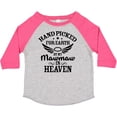 thumbnail image 3 of Inktastic Handpicked for Earth By My Mawmaw in Heaven with Angel Wings Boys or Girls Toddler T-Shirt, 3 of 5