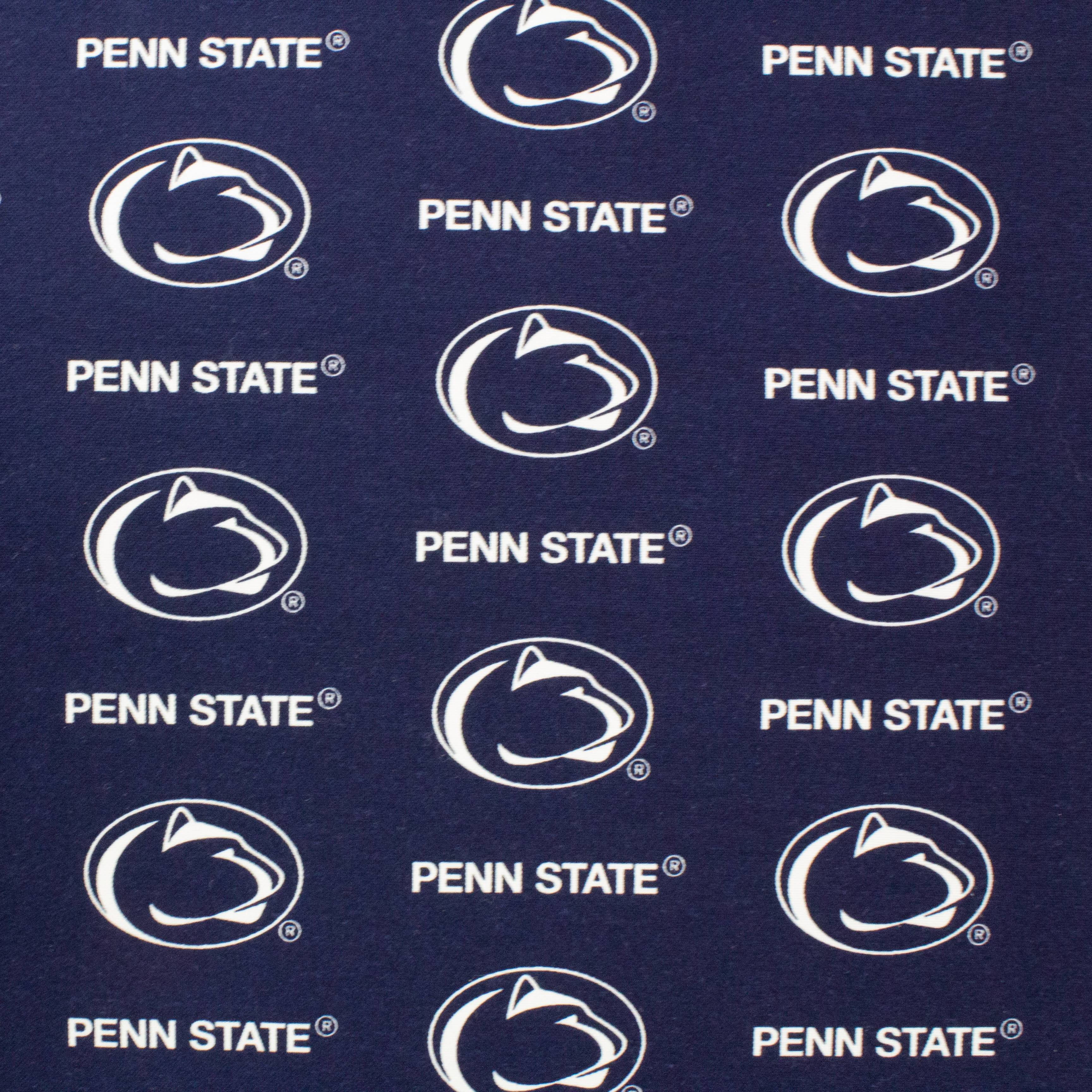 College Covers Penn State Nittany Lions 2 Piece Chair Cushion