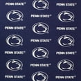 thumbnail image 6 of College Covers Penn State Nittany Lions 2 Piece Chair Cushion, 6 of 7