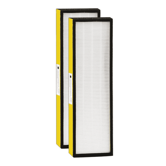 VIQTTA 2 Pack FLT4825 True HEPA Filter B Replacement with Activated Carbon Pre-Filters Compatible with Guardian Air Purifier AC4825 AC4300 AC4800 AC4900 AC4850