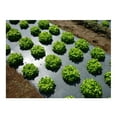 thumbnail image 1 of Grower's Solution Paillis en Plastique Noir 4 Pi X 100 Pi 1,0 Mil Gaufré, 1 of 3
