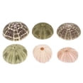 thumbnail image 4 of 6 piezas de decoración de erizos de mar para macetas de plantas aéreas, decoración de mesa con erizos de mar, decoración para peceras, 4 of 8