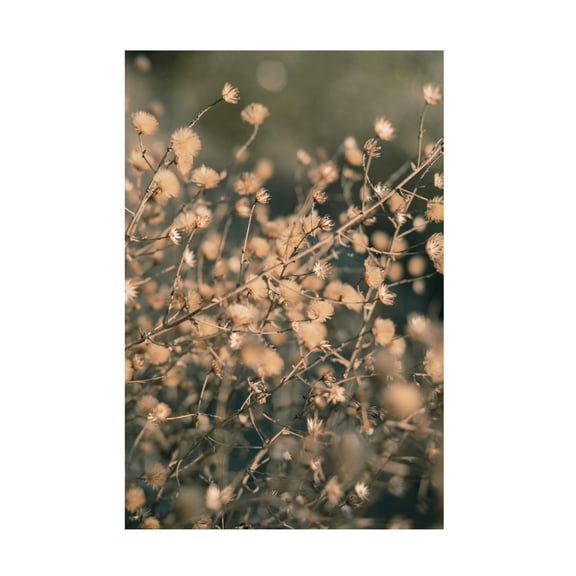 Pictufy Studio III 'Beach Flowers 3' Canvas Art - 12 x 19 Inches