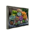 thumbnail image 4 of Stupell Industries Varied Succulents Photography Botanical & Floral Photography Gray Floater Framed Canvas Art Print Wall Art, 31 x 25, 4 of 10