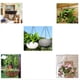 thumbnail image 1 of Gancho para Colgar plantas Sharpla cesta colgando ganchos de cadena, 1 of 8