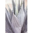 thumbnail image 2 of Orlov, Irena 23x32 Black Ornate Wood Framed with Double Matting Museum Art Print Titled - Plant Symphony, 2 of 4