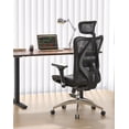 thumbnail image 2 of Silla de oficina SIHOO M57, reposabrazos ergonómicos de 3 posiciones, soporte lumbar, 2 of 4