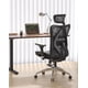 thumbnail image 2 of Silla de oficina SIHOO M57, reposabrazos ergonómicos de 3 posiciones, soporte lumbar, 2 of 4