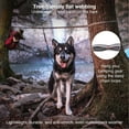thumbnail image 6 of Kurgo Ridgeline Dog Tie Out for Camping, Outdoor Dog Run Zipline, Portable Camp Gear Line, Reflective, Includes - Carry Pouch, 30 ft Tree-friendly Line, 4 S-Clips, and Swivel Bungee Tether for Leash, 6 of 6